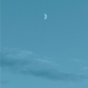 Meet your Posher, Jacqueline